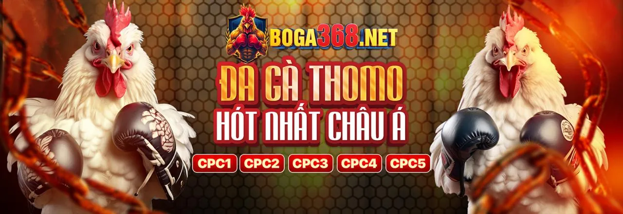 Hình ảnh tổng hợp các trò chơi nổ hũ phổ biến tại nohu77