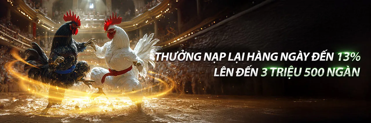 Đá gà trực tiếp Nohu77 với các trận đấu kịch tính và gà chiến mạnh mẽ