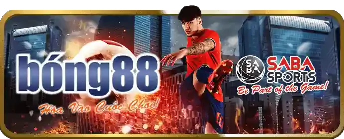 Hoàn trả tiền cược hàng tuần cho người chơi thể thao